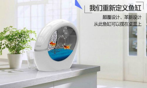 稀品汇 科技与新概念的互联网营销先锋，引领布加桌宝线上销售新潮流