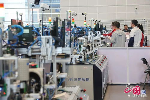 二十个新赛项揭示职业就业新趋势 健康照护、互联网营销与人工智能训练领跑